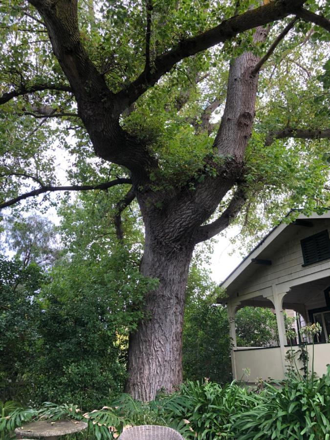 Lorelei Bed & Breakfast Portland Ngoại thất bức ảnh