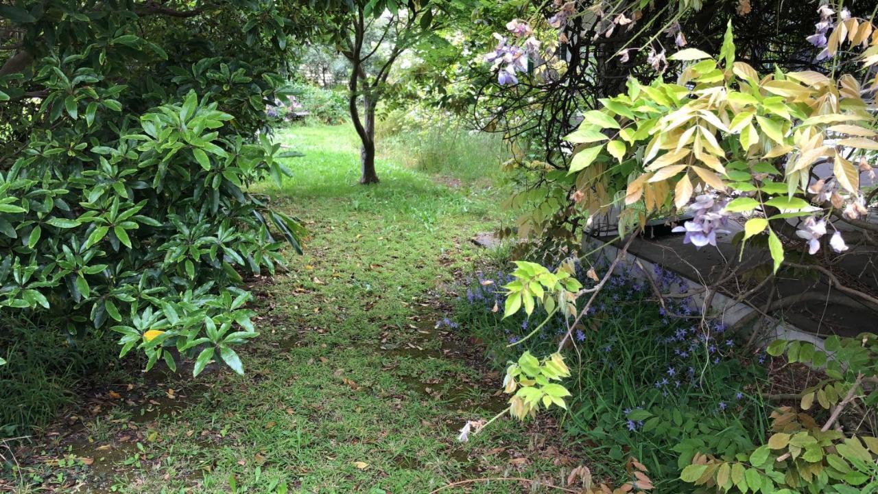 Lorelei Bed & Breakfast Portland Ngoại thất bức ảnh